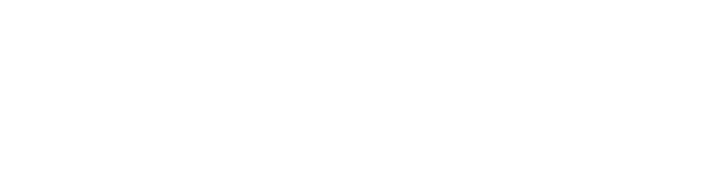WEIDU 伟渡投资 Investment
